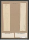 Pleurosigma longum Cleve (de-Toni-Nr.: Genus 13, Species 1044) Zeichnungen Sammlung Grunow Nr. 1879 (NHMW-BOT-W0368990)